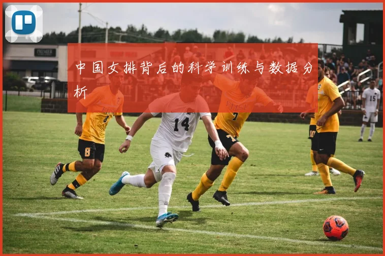 中国女排背后的科学训练与数据分析