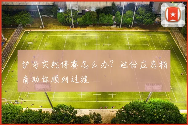 护考突然停赛怎么办？这份应急指南助你顺利过渡