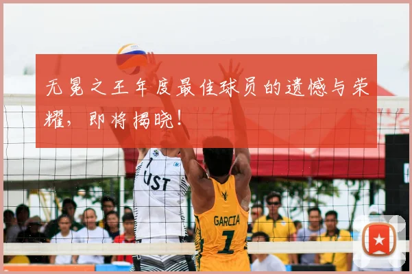 无冕之王年度最佳球员的遗憾与荣耀,即将揭晓!
