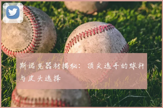 斯诺克器材揭秘：顶尖选手的球杆与皮头选择