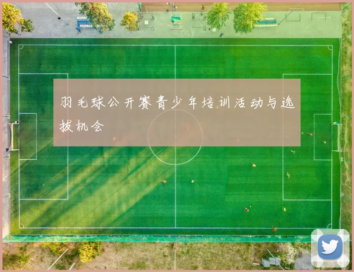 羽毛球公开赛青少年培训活动与选拔机会