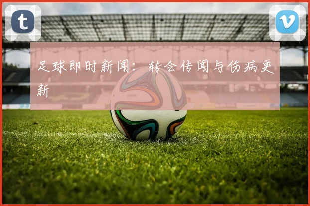 足球即时新闻：转会传闻与伤病更新