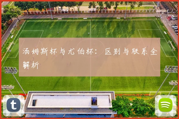 汤姆斯杯与尤伯杯：区别与联系全解析