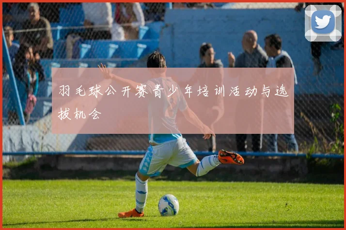 羽毛球公开赛青少年培训活动与选拔机会
