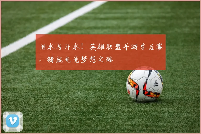 泪水与汗水!英雄联盟手游季后赛,铸就电竞梦想之路
