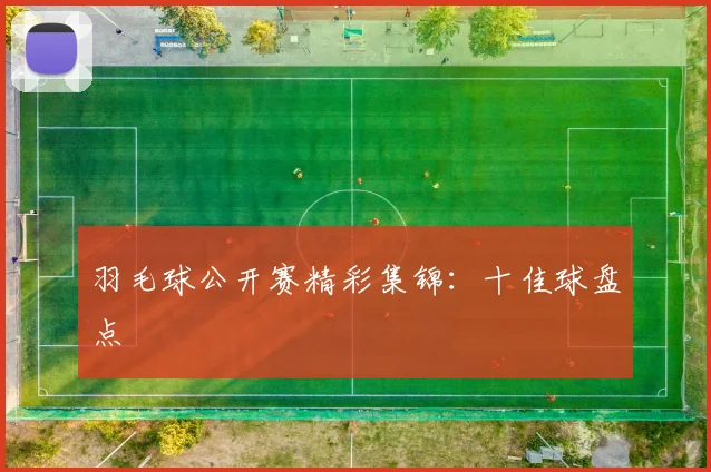 羽毛球公开赛精彩集锦:十佳球盘点