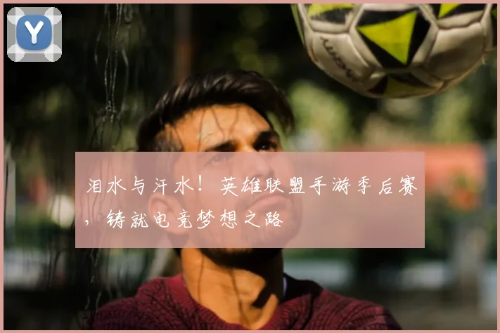 泪水与汗水!英雄联盟手游季后赛,铸就电竞梦想之路