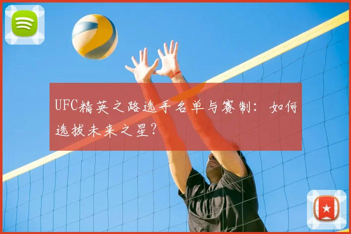 UFC精英之路选手名单与赛制:如何选拔未来之星?