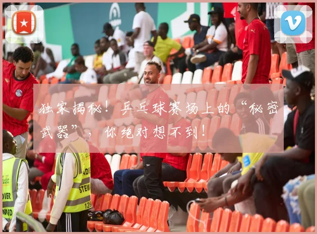 独家揭秘！乒乓球赛场上的“秘密武器”，你绝对想不到！