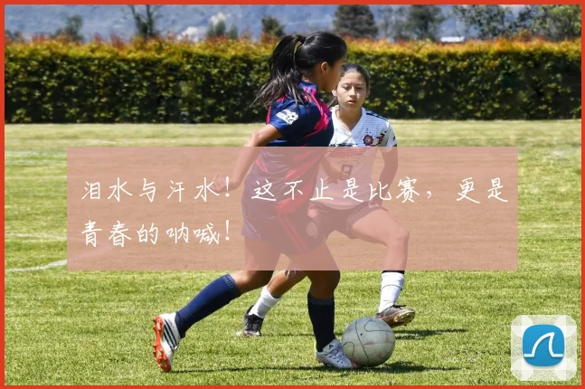 泪水与汗水!这不止是比赛,更是青春的呐喊!