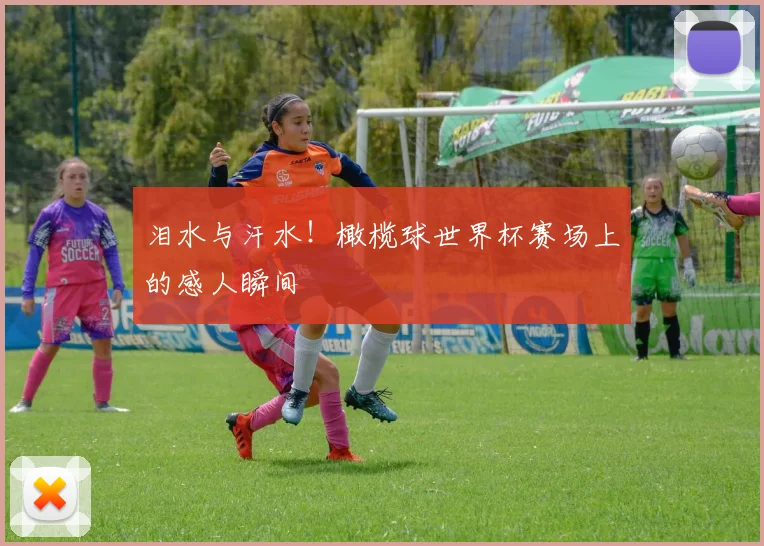 泪水与汗水!橄榄球世界杯赛场上的感人瞬间