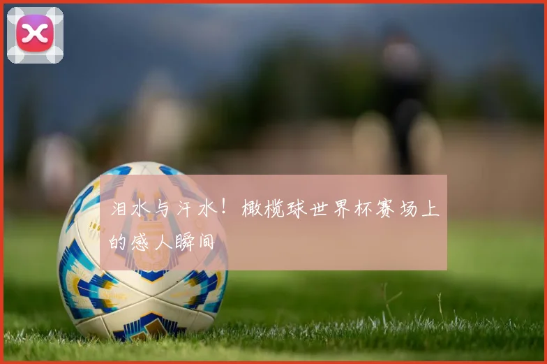 泪水与汗水!橄榄球世界杯赛场上的感人瞬间