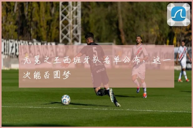 无冕之王西班牙队名单公布,这一次能否圆梦